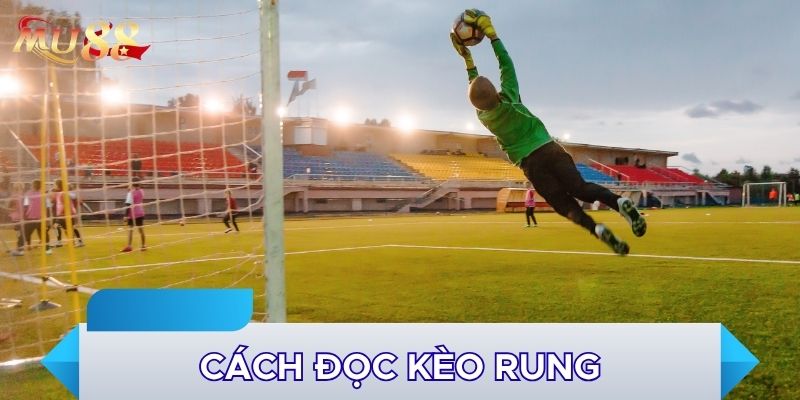 Cách đọc kèo rung