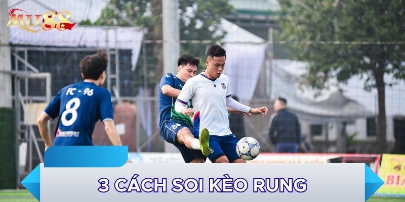 3 cách soi kèo rung