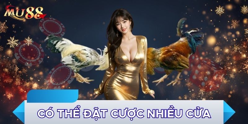 Có thể đặt cược nhiều cửa