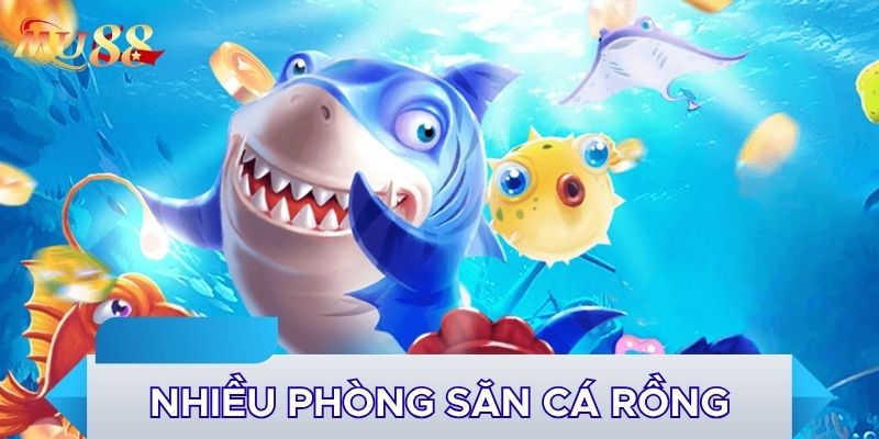 Nhiều phòng săn cá Rồng